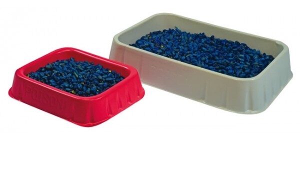 A pair of plastic bowls filled with blue food for rats