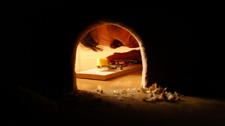 A person with a mouse trap is looking through a very confined space.